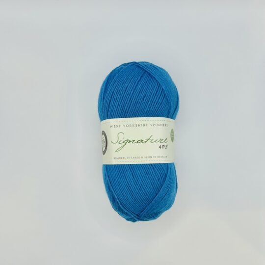 West Yorkshire Spinners Signature 4-Ply #365 Blueberry Bonbon